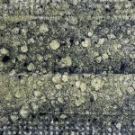 Manipulated fibres