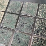 Squares
